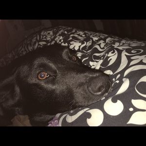 Meet your Posher, Joanna